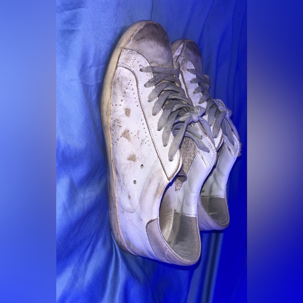 Golden goose